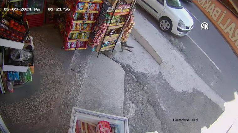 Bakkaldan cips çalan karga suçüstü yakalandı! Etrafı kolaçan etti paketi alıp kaçtı - Resim: 34